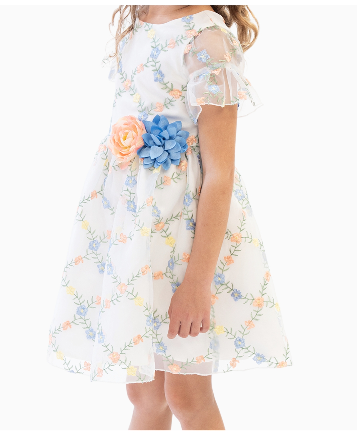 Rare Editions Little Girls 3D Floral Embroidered Social Dress