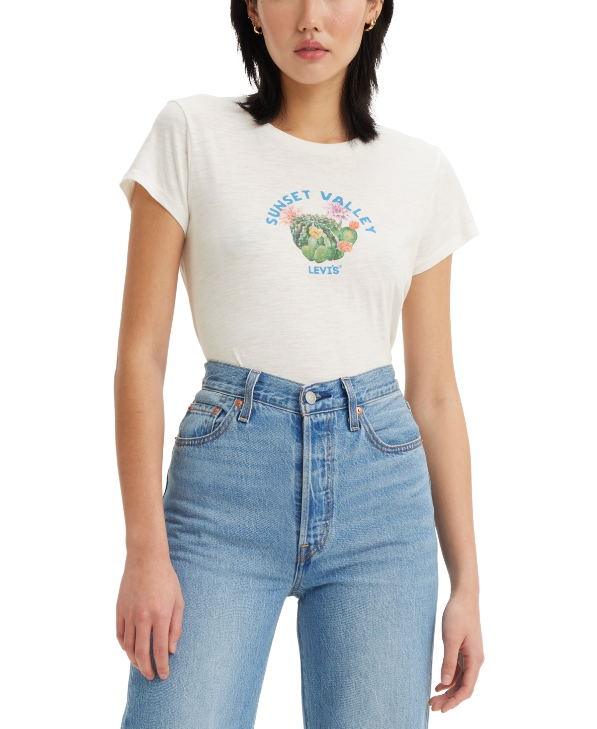 Levi's Women's Graphic Authentic Cotton Short-sleeve T-shirt In Sunset Valley Cloud Dancer