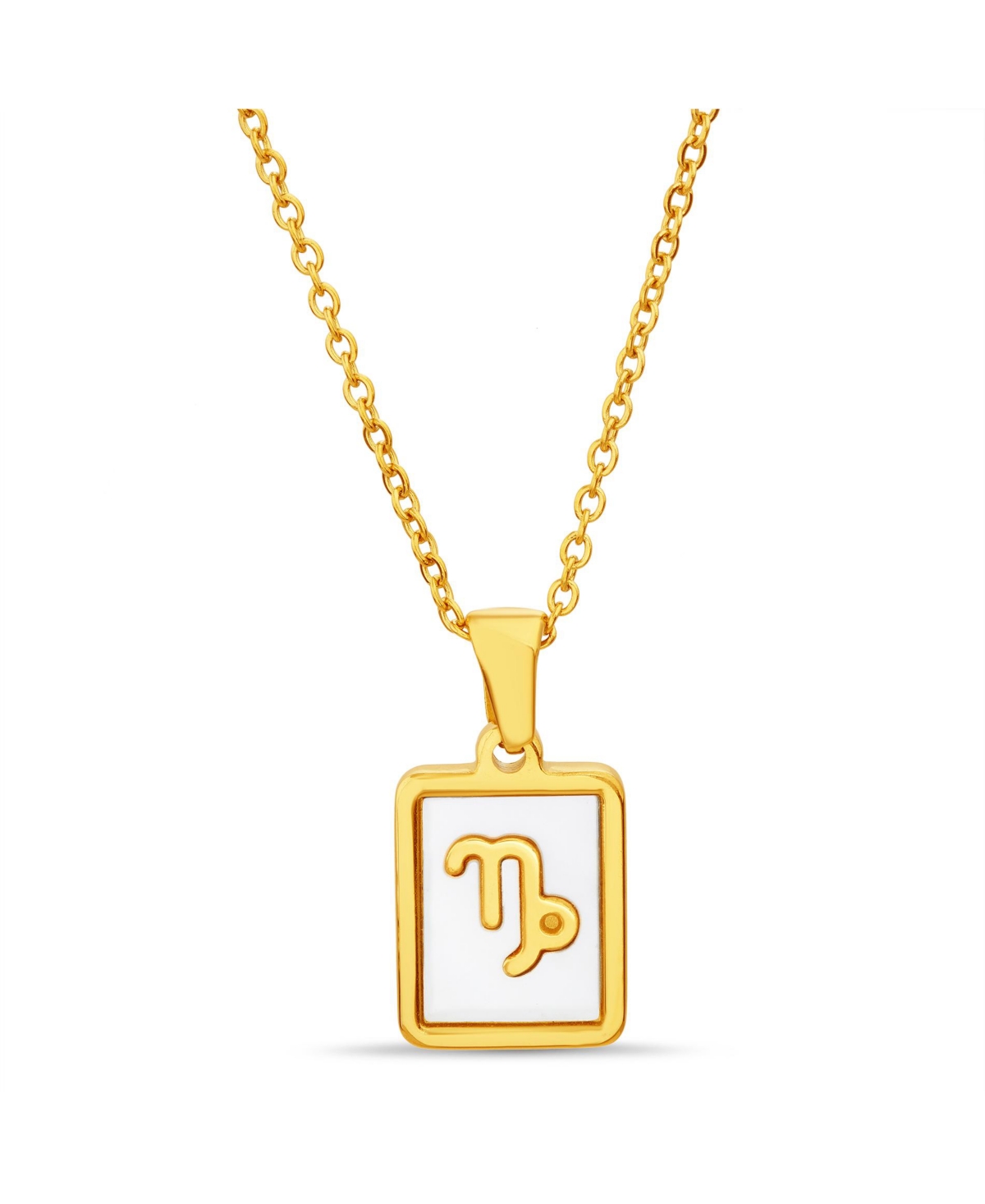 Shop Kensie Gold-tone Tag Zodiac Sign Pendant Necklace In Capricorn