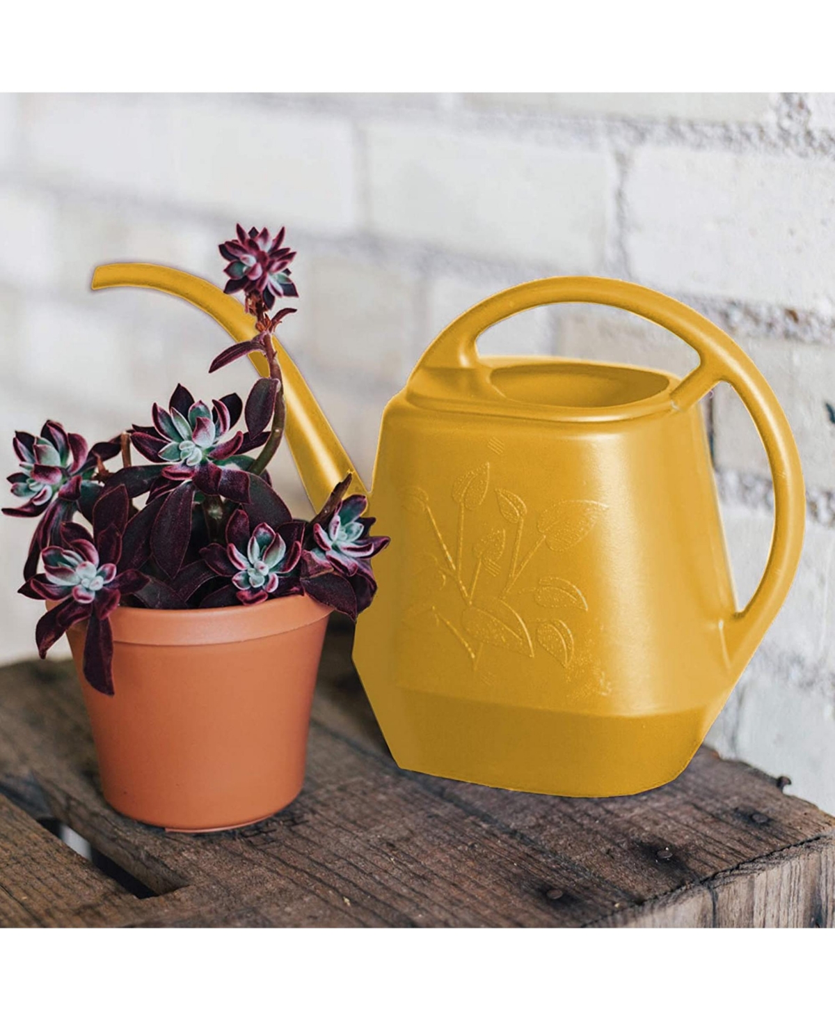Bloem Aqua Rite Plastic Watering Can, Earthy 56 oz - Yellow