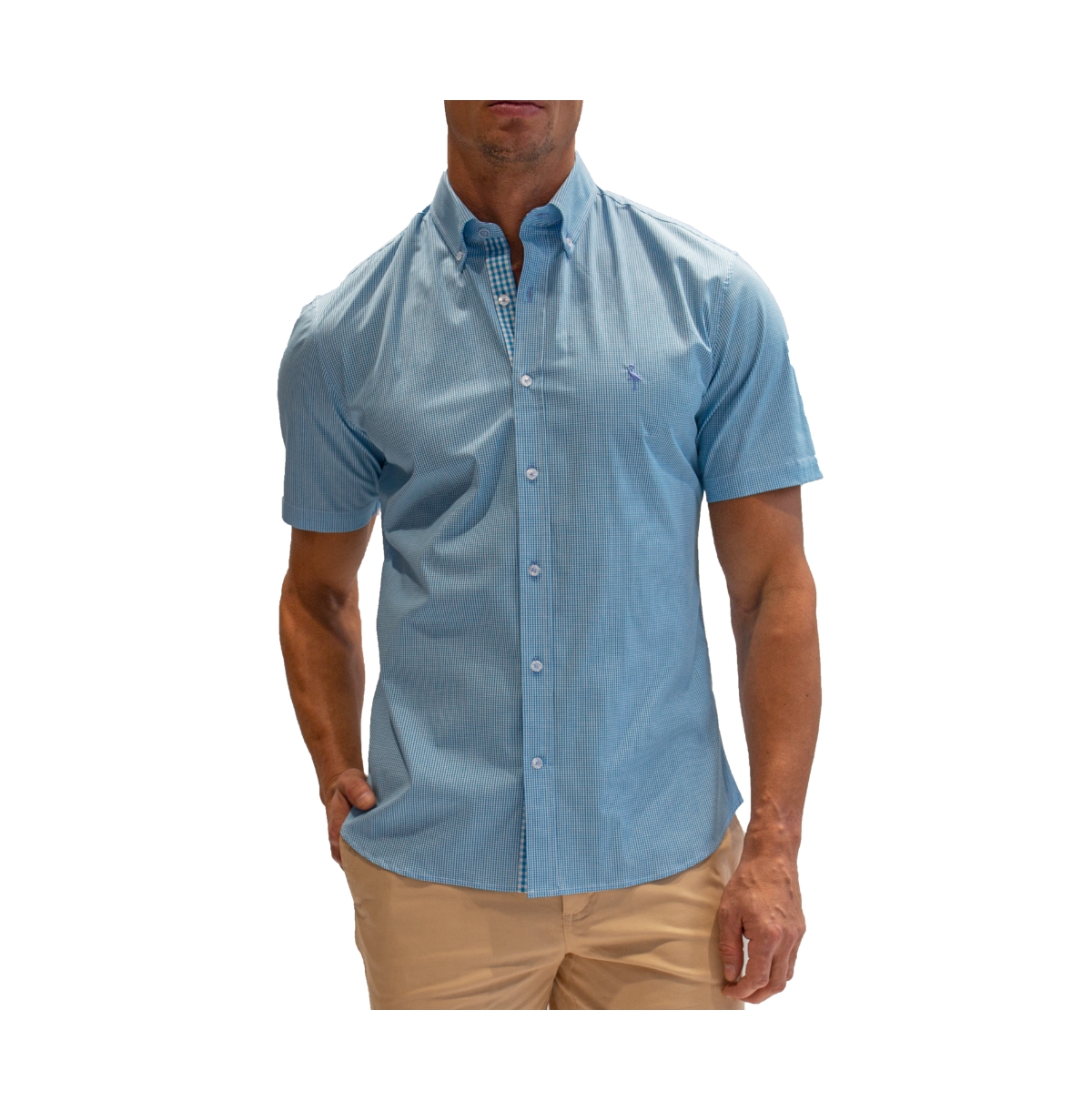 TAILORBYRD MEN'S MICRO GINGHAM COTTON STRETCH SHORT SLEEVE SHIRT