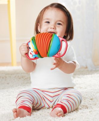 E&M Accordion Hedgehog