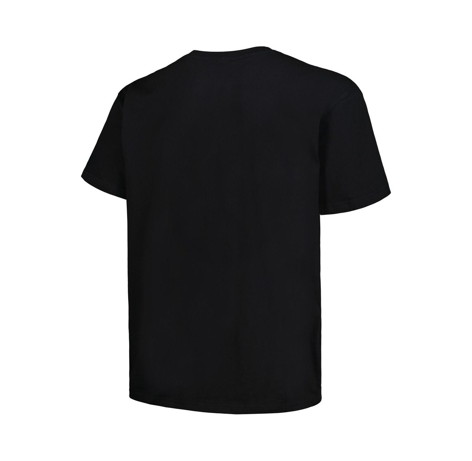 Men's Black Distressed Phoenix Suns Big and Tall Hardwood Classics Vintage-Like Logo T-shirt