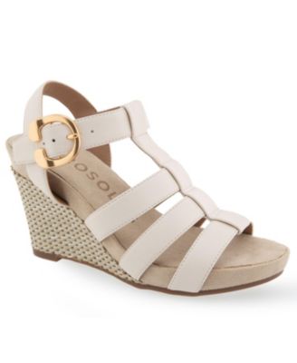 Aerosoles