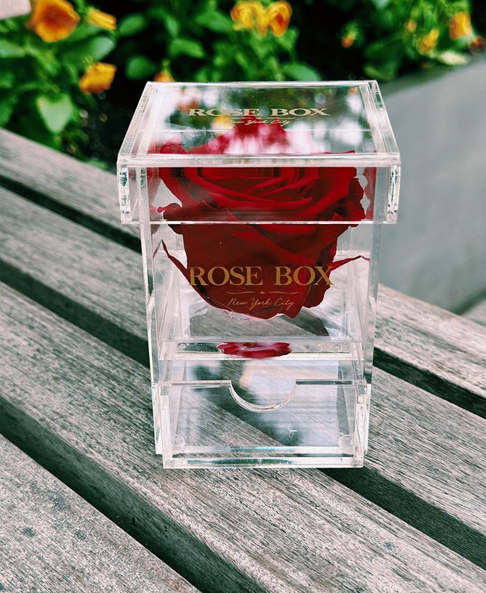 Rose Box NYC Jewelry Box of Violet Long Lasting Preserved Real Rose, 1 ...