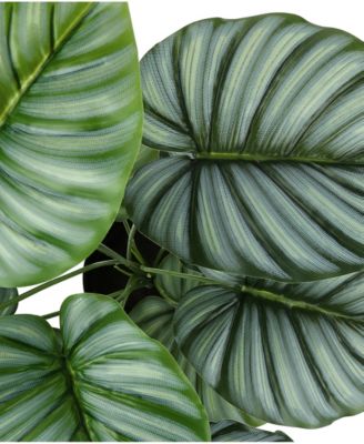 24" Indoor Artificial Calathea Plant with Decorative Black Pot