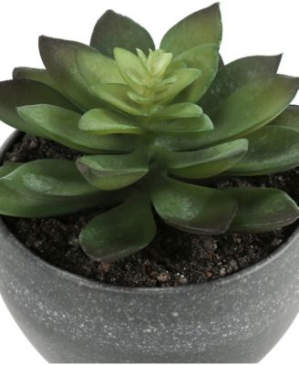 6" Indoor Artificial Succulent Plants with Decorative Grey Cement Pots, Set Of 3