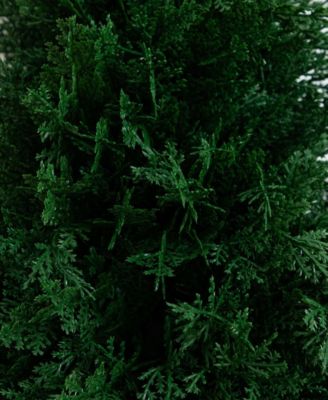 2.5ft. UV Resistant Artificial Cedar Plant with Integrated Ground Stake Indoor/Outdoor - Set of 2