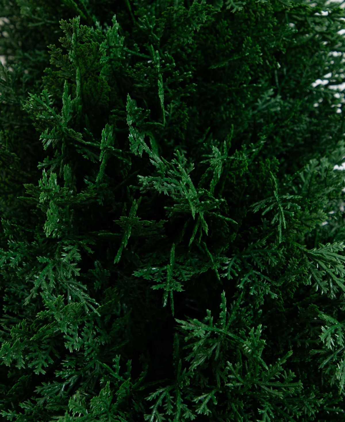 NEARLY NATURAL 2.5FT. UV RESISTANT ARTIFICIAL CEDAR PLANT WITH INTEGRATED GROUND STAKE INDOOR/OUTDOOR 