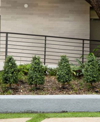 2.5ft. UV Resistant Artificial Boxwood Plant with Integrated Ground Stake Indoor/Outdoor - Set of 2