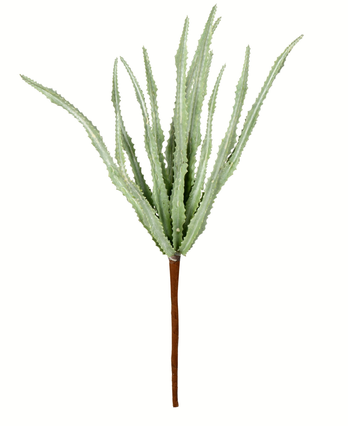 Vickerman Artificial MixedHaworthia Spray. Includes 6 sprays per pack. - Green