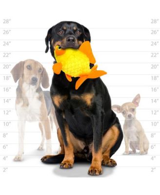 Ocean Goldfish, Dog Toy