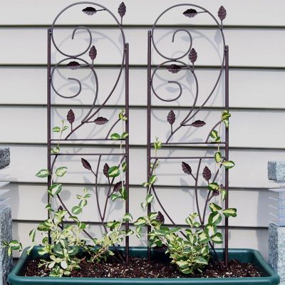 Metal Wire Rustic Plant Design Garden Trellis for Outdoor Climbing Flowers and Vines - 32" H - Brown - 2-Pack