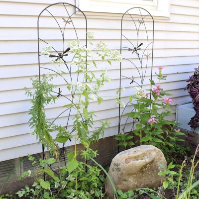 Decorative Steel Metal Dragonfly Delight Design Garden Trellis - 55.75" H - Black - 2-Pack
