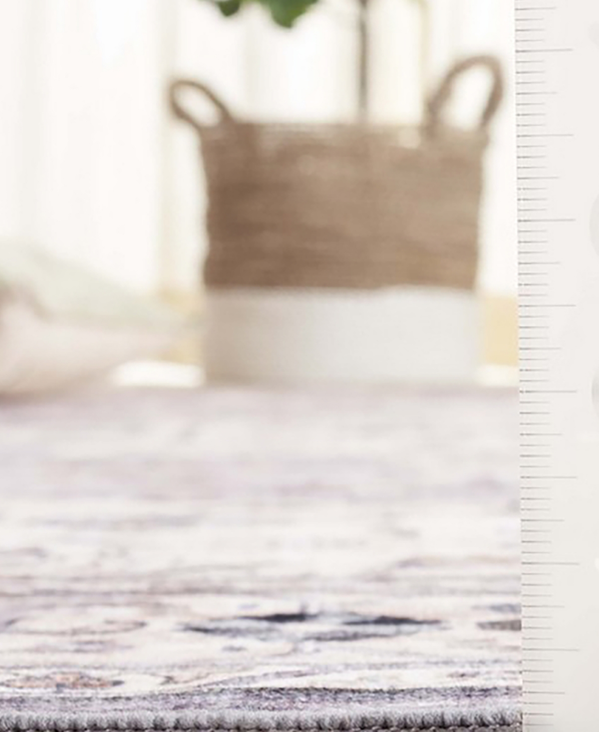 Safavieh Arizona Washable 520 ARZ520 Area Rug