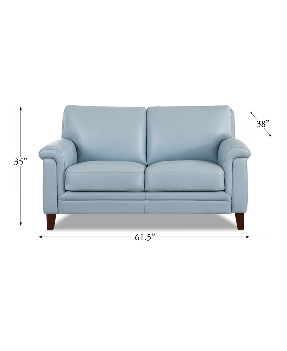 HYDELINE WESTCOTT 62" TOP GRAIN LEATHER LOVESEAT 