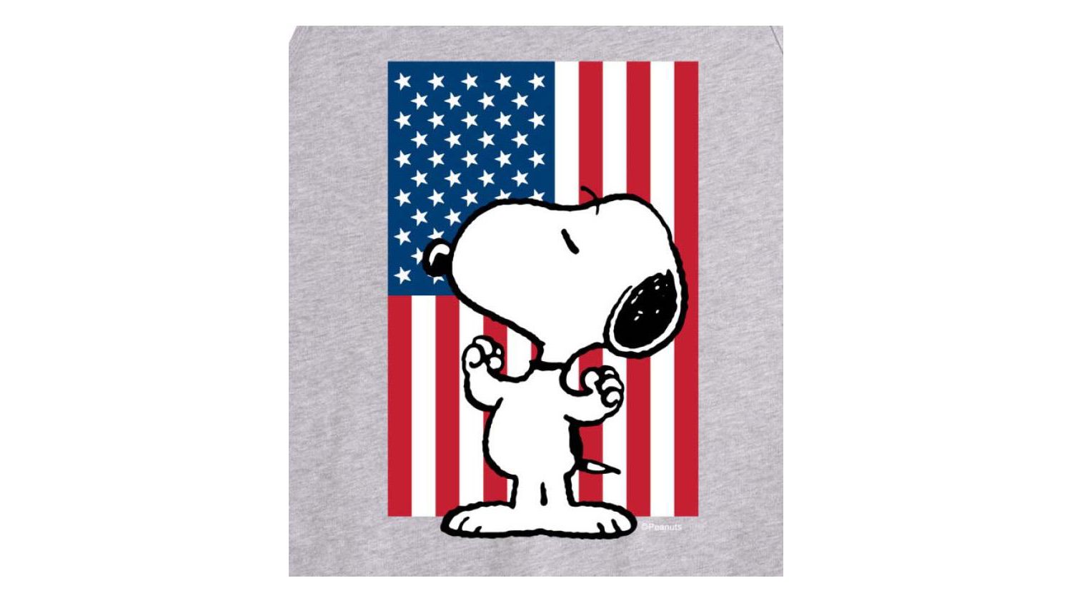 Hybrid Apparel Peanuts Flag Mens Jersey Tank