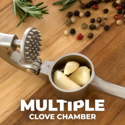 Premium Garlic Press Set - Rust Proof & Dishwasher Safe Professional Garlic Mincer Tool
