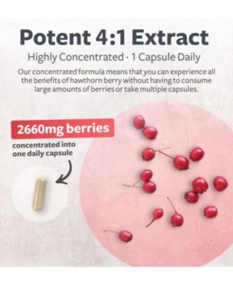 Hawthorn Berry Capsules, Cardiovascular and Immune Health, 4:1 Extract, Health's Harmony, 60ct