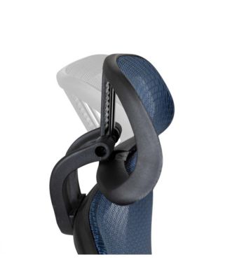 Ergonomic Mesh Office Chair-Synchro-Tilt, Headrest, Adjustable Pivot Arms