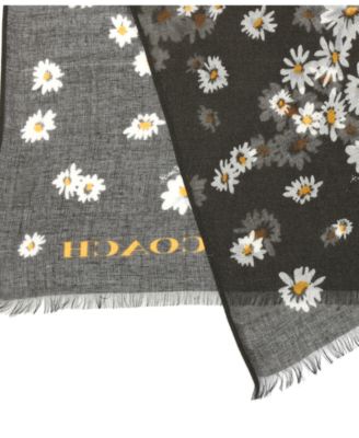 Women's Daisy Cluster Printed Oblong Scarf