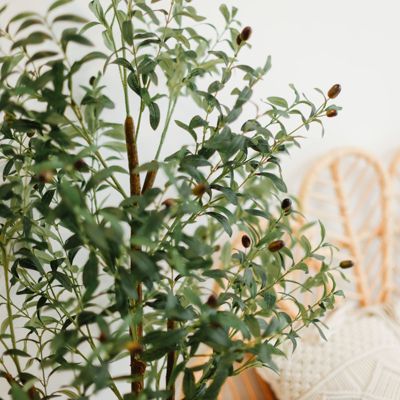 6ft Artificial Olive Tree with Woven Seagrass Plant Basket