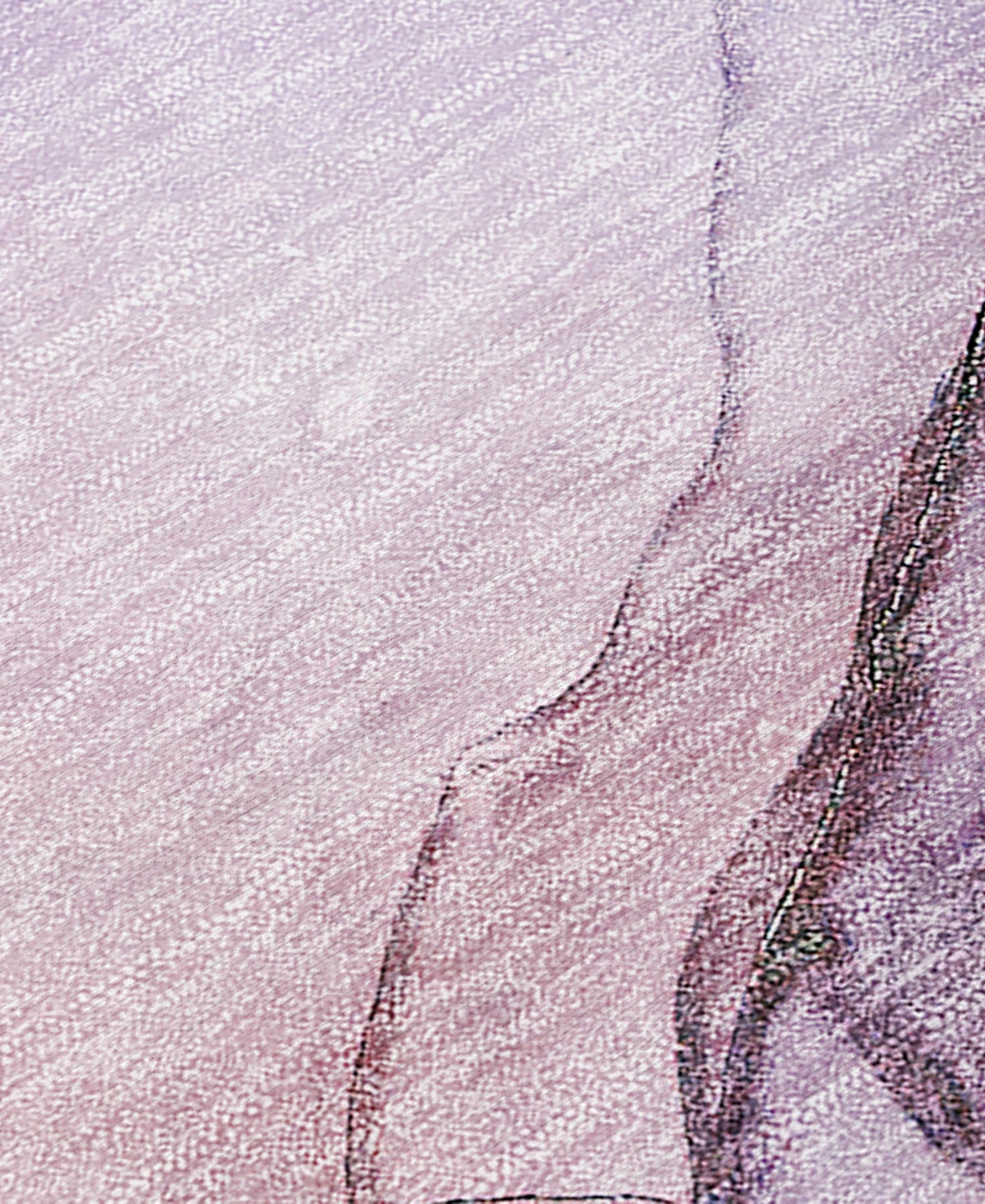 Addison Chantille Machine Washable Acn502 2'6x3'10 Area Rug In Purple