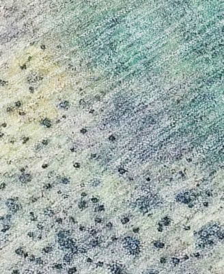 Chantille Machine Washable ACN505 8'x10' Area Rug