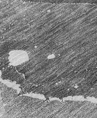 Chantille Machine Washable ACN522 3'x5' Area Rug