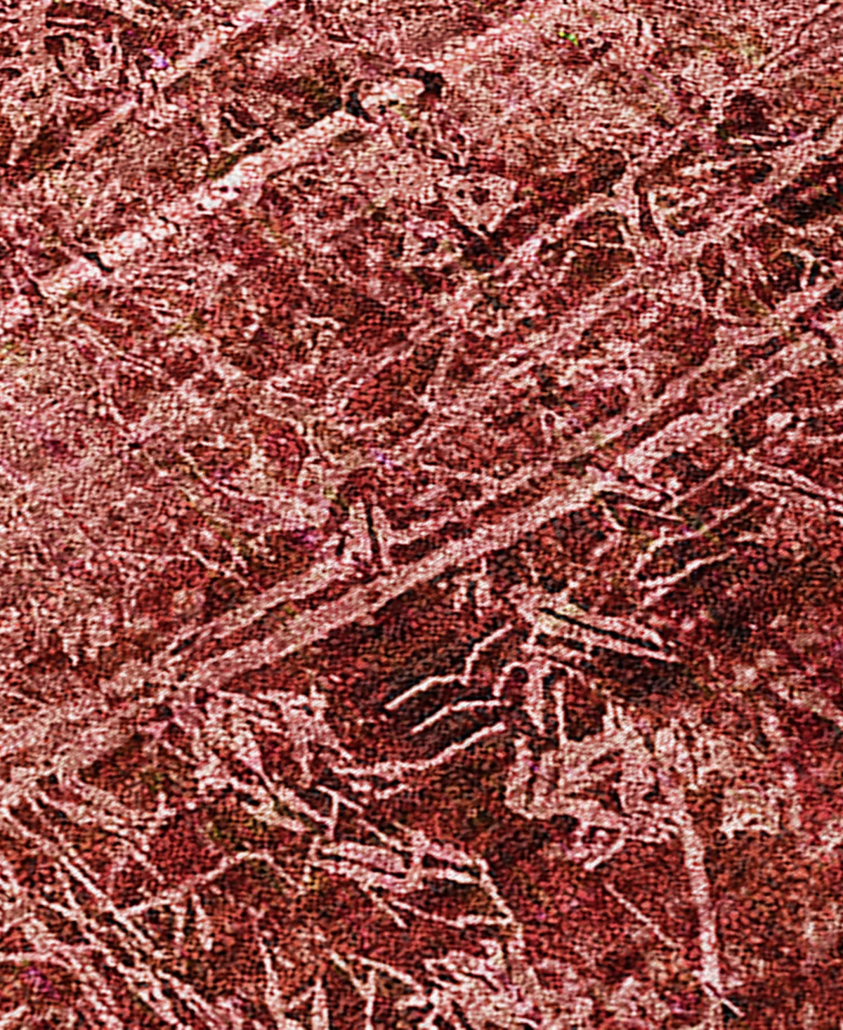 Addison Chantille Machine Washable Acn559 2'3x7'6 Runner Area Rug In Cherry