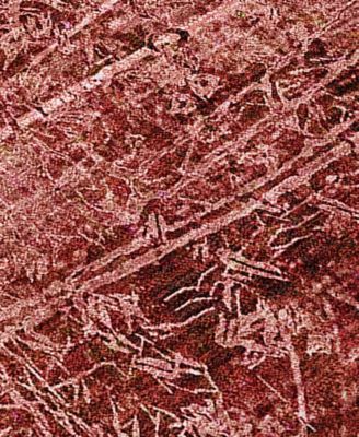 Chantille Machine Washable ACN559 3'x5' Area Rug