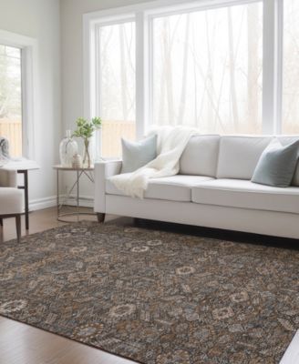 Chantille Machine Washable ACN574 2'6x3'10 Area Rug