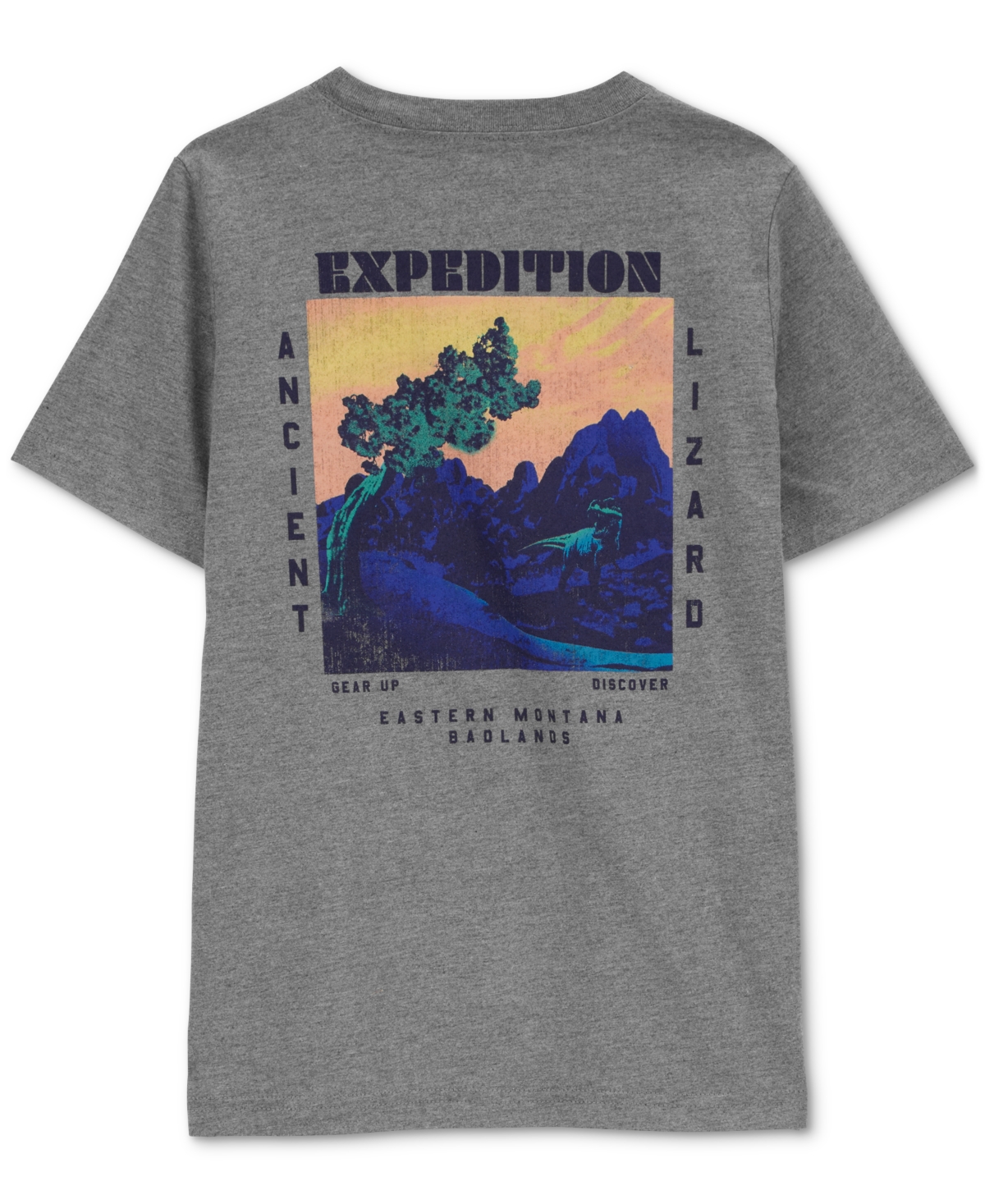 Carter's Little Boys and Big Boys Dinosaur T-Shirt