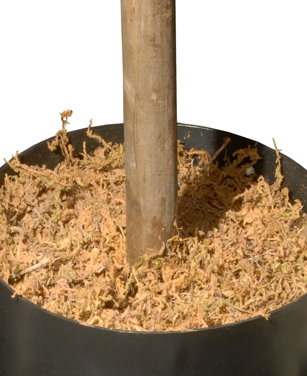 National Tree Company Boxwood Three-Ball Topiary