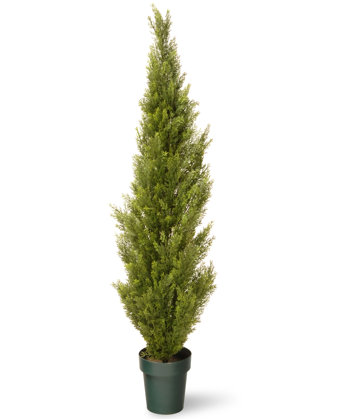 National Tree Company Cedar Tree