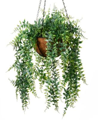21 Fern Leaves Hanging Basket