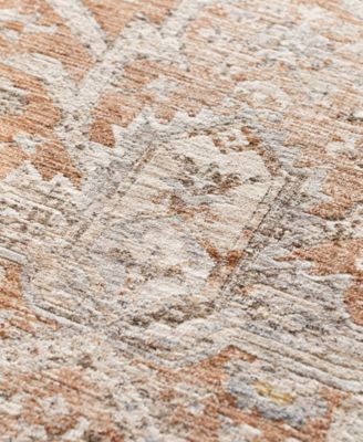 Vienna VI1 5'x7'10 Area Rug