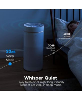 USA WOOZOO Air Purifiers with H13 True HEPA Filter Remove Up to 99.97% of Particles 1558ft