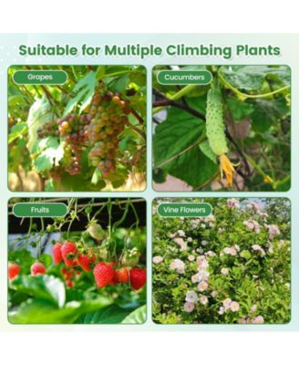 7.5 Feet Garden Arch Trellis with PE Coated Metal Structure