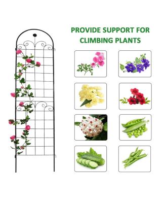 Streamdale Rustproof Rose Trellis for Climbing Plants 86.7"x19.7"