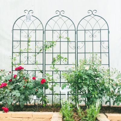 Streamdale Metal Garden Trellis 71" x 19.7" for Climbing Plants