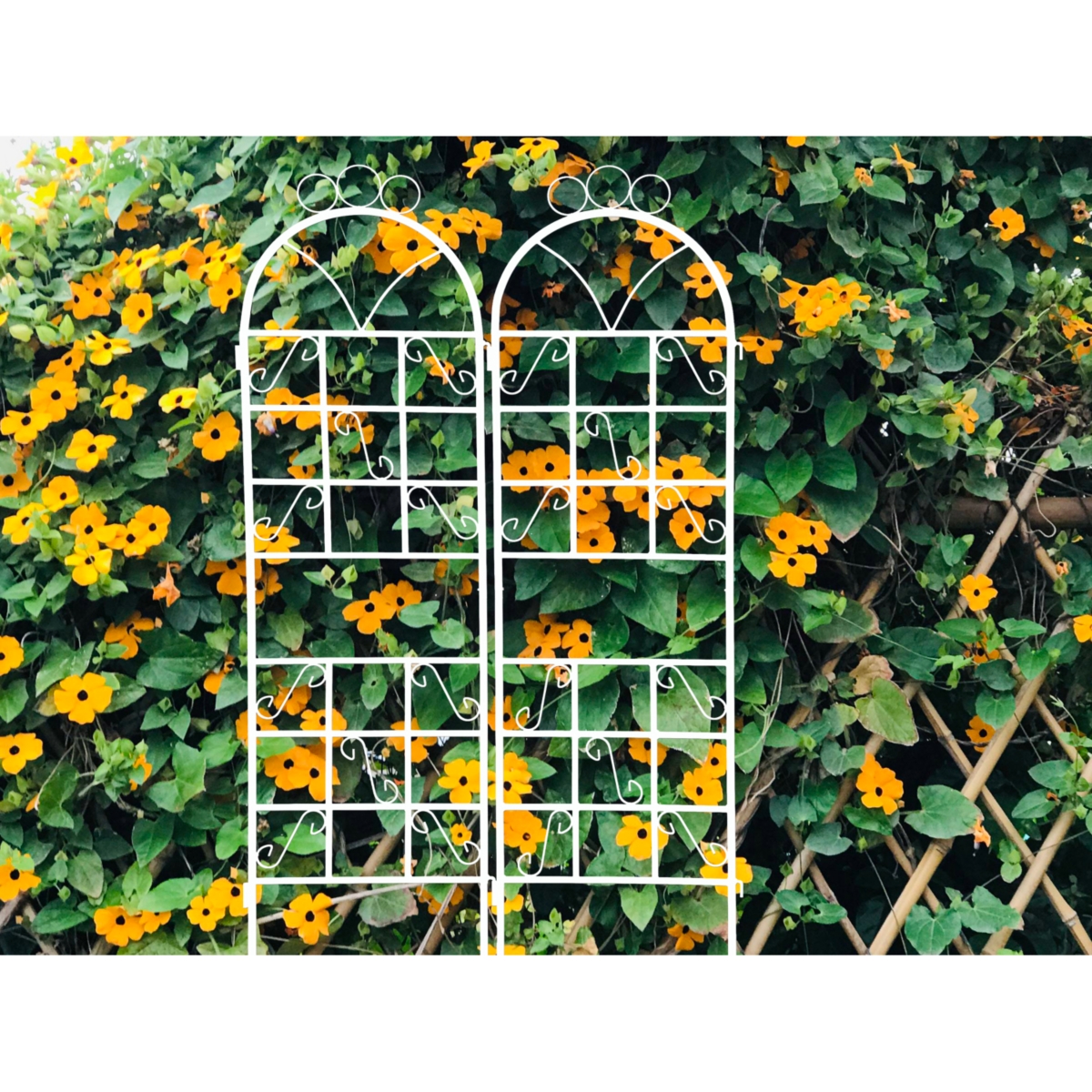 Streamdale Furniture Metal Garden Trellis Set - 2 Pieces, Outdoor Plant Support