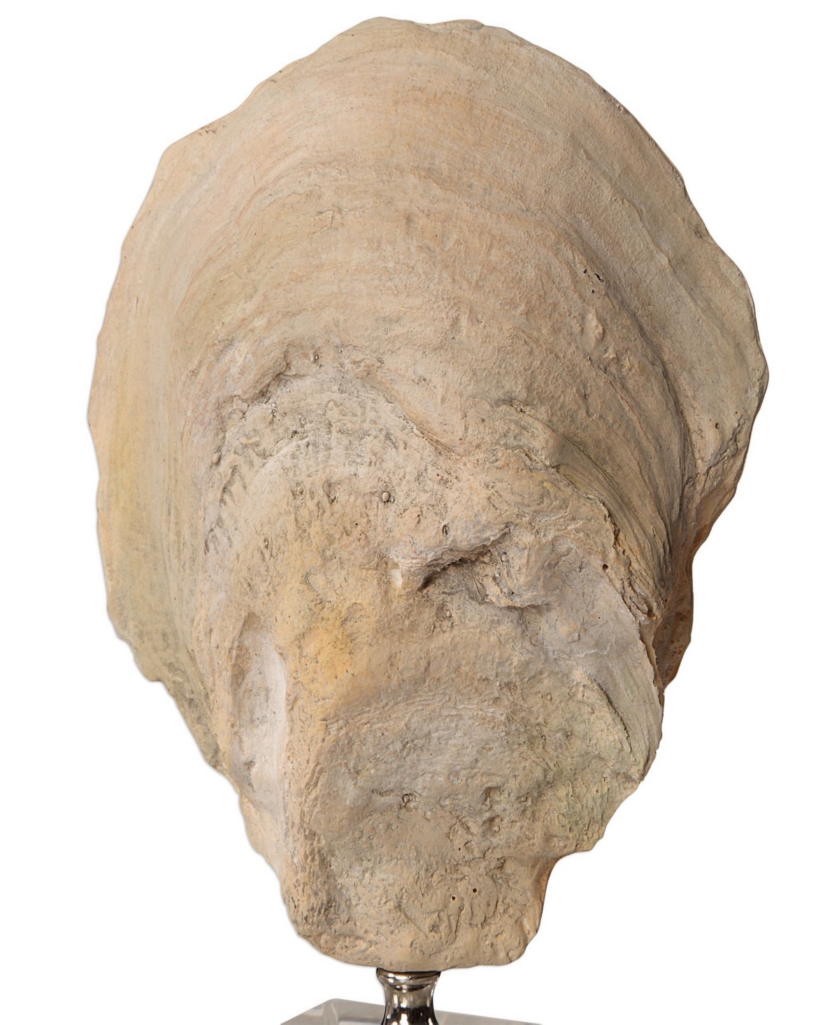 Uttermost Oyster Shell Sculptures, Set Of 2 In White
