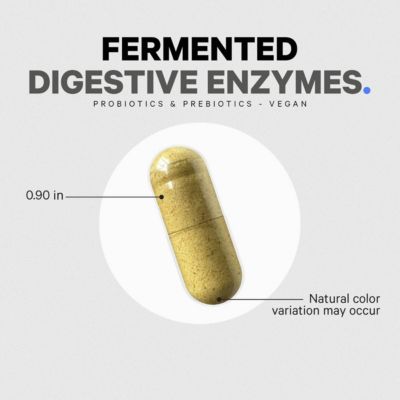 Fermented Digestive Enzymes Supplement - 14 Digestive Enzymes, Probiotics, Prebiotics, Fermented Botanicals, Plant-Based 90 Capsules