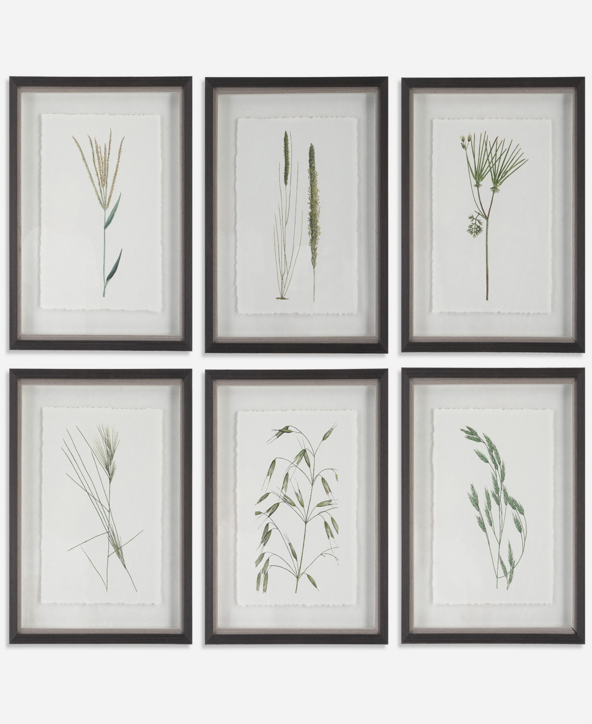 Uttermost Forest Finds Framed Prints Art, Set Of 6 In Green