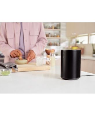 Era 100 Wireless, Smart Speaker