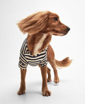 Barbour