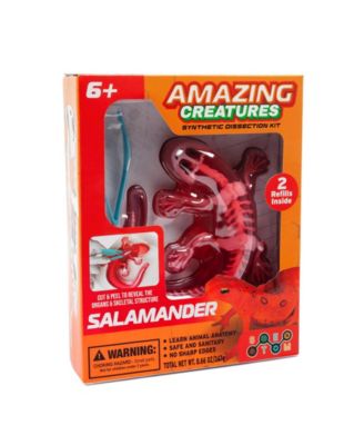Amazing Creatures Synthetic Dissection Kit - Salamander