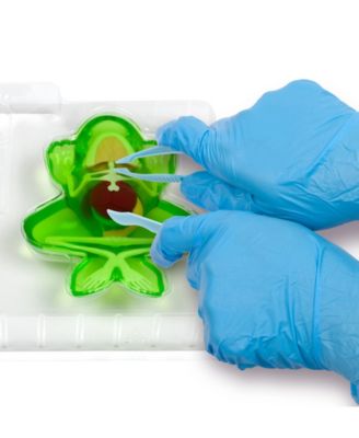 Amazing Creatures Synthetic Dissection Kit - Salamander Frog Double Pack