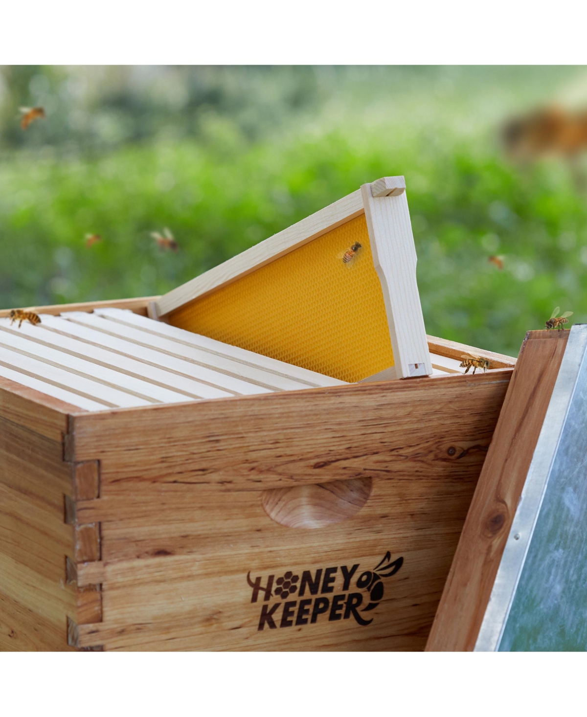 Honey Keeper 10 Assembled Beehive Frames with WaxedFoundations for Beekeeping, 6-1/4 inch - Natural